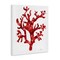 Stupell Industries Red Coral Sprig Canvas Wall Art Design by Patti Mann